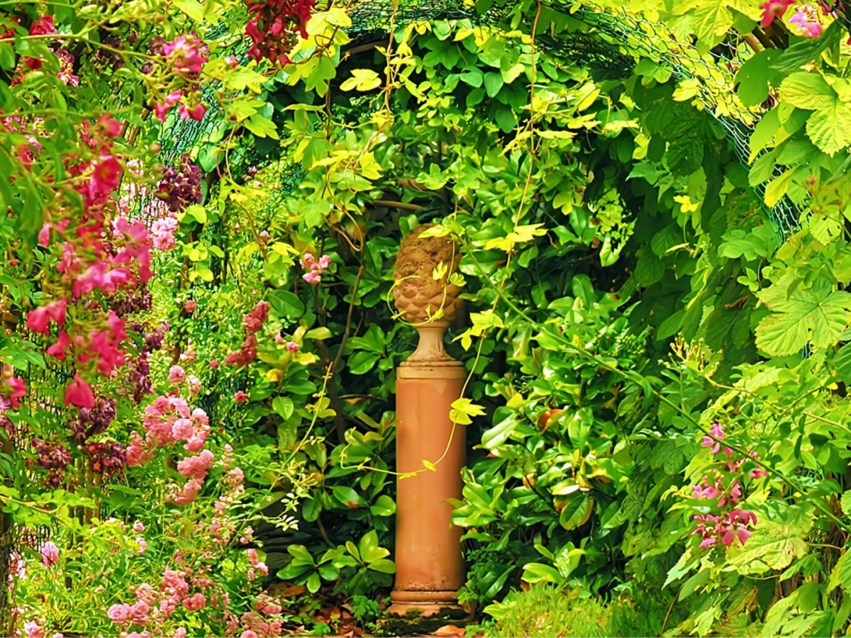 ARBORETUM (1 vidéo + des&nbsp;photos)