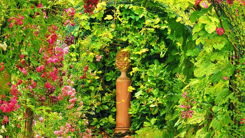 ARBORETUM (1 vidéo + des&nbsp;photos)